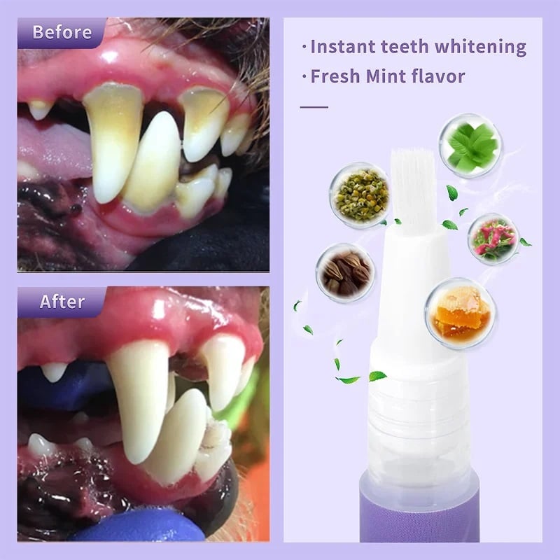 šBUY 1 GET 1 FREEš„³Pet Oral Repair Gel
