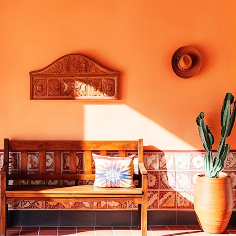 Houseware & Kitchen
