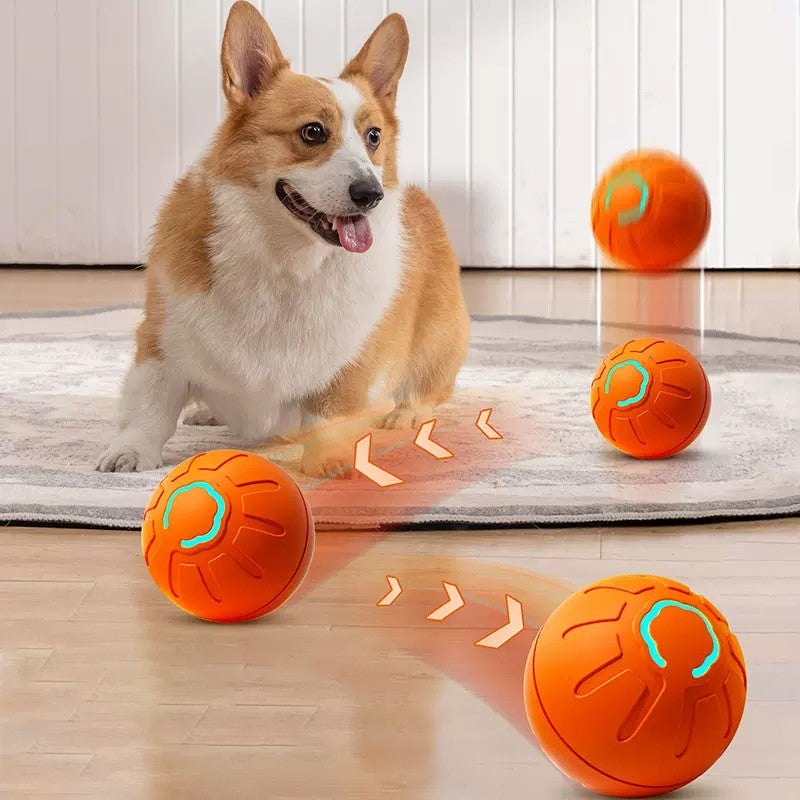 Interactive Pet Toy Automatic Rolling Ball