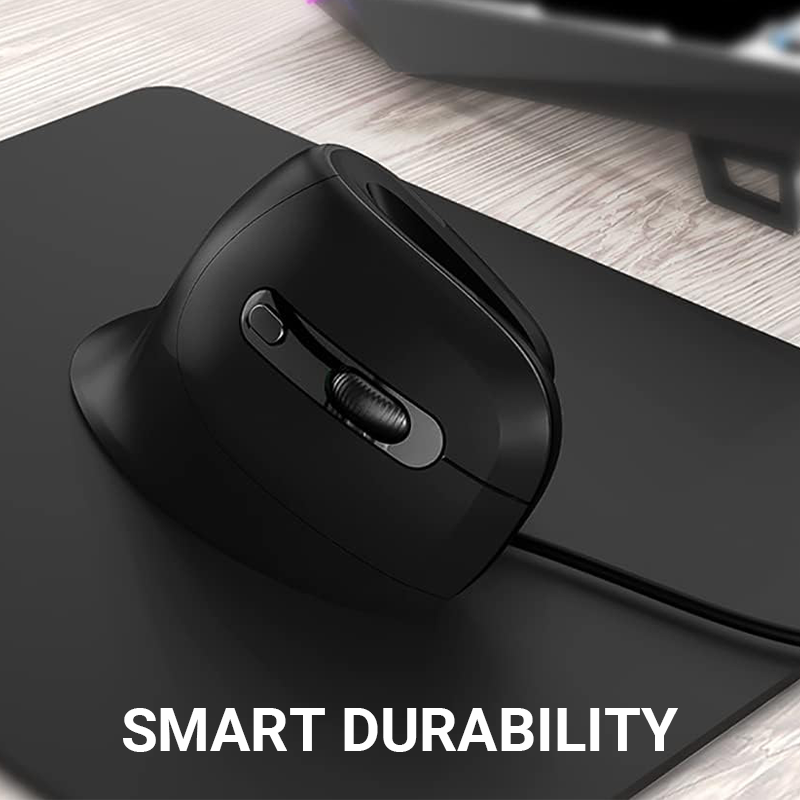 Ergonomic Low Noise Mouse