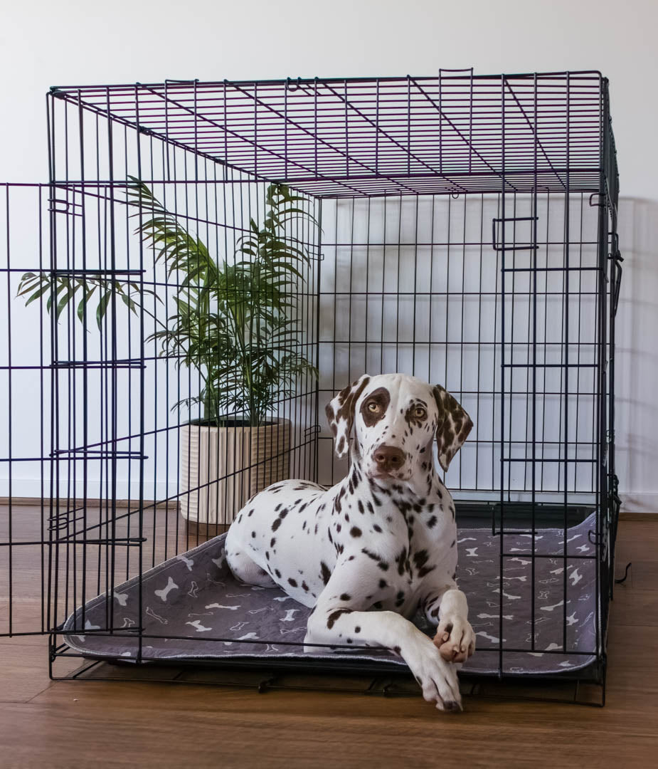 🐶😸Premium Reusable Super Absorbent PuppyPad🐾 (Kitten & Other Pets)