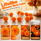 Artificial Marigold Flower LED String Light